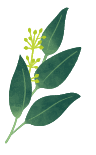 イラスト